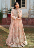 Haseens Official Nurayaa Women 3pcs