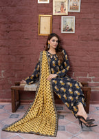 Zeenat & Zoha RANG Women 3pcs