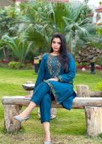 Sajfi Closet Biya Zinc Stitched Suit for Women Women 2pcs
