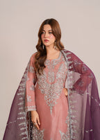 Mehroo Gazania Women 3pcs