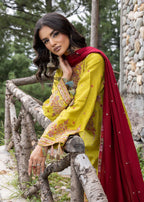 Zarqun 2595 B Women 3pcs