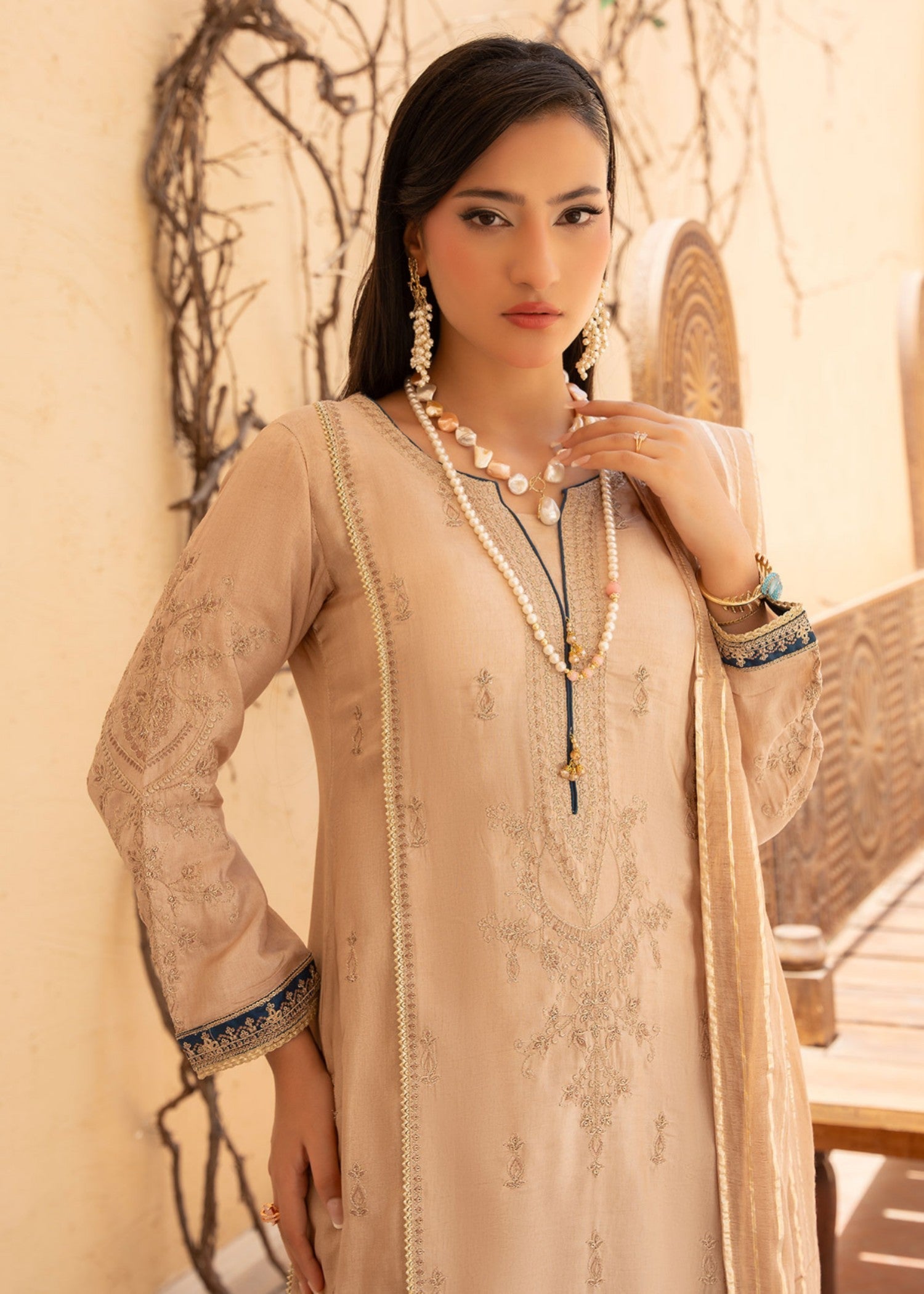 Rang-e-Noor RNF 25 Women 3pcs