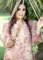 Hayati Collections Organza | Printed Gown with Inner Silk | | Skin Women 3pcs