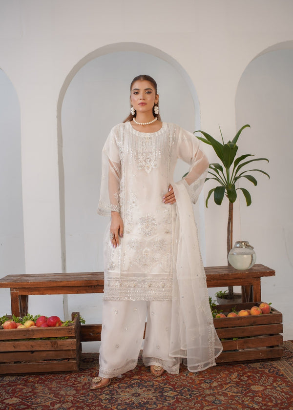Gulposh Areej Fancy (Embroidery ) Women 3pcs