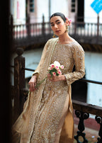 Haseens Official Nashwah Women 4pcs