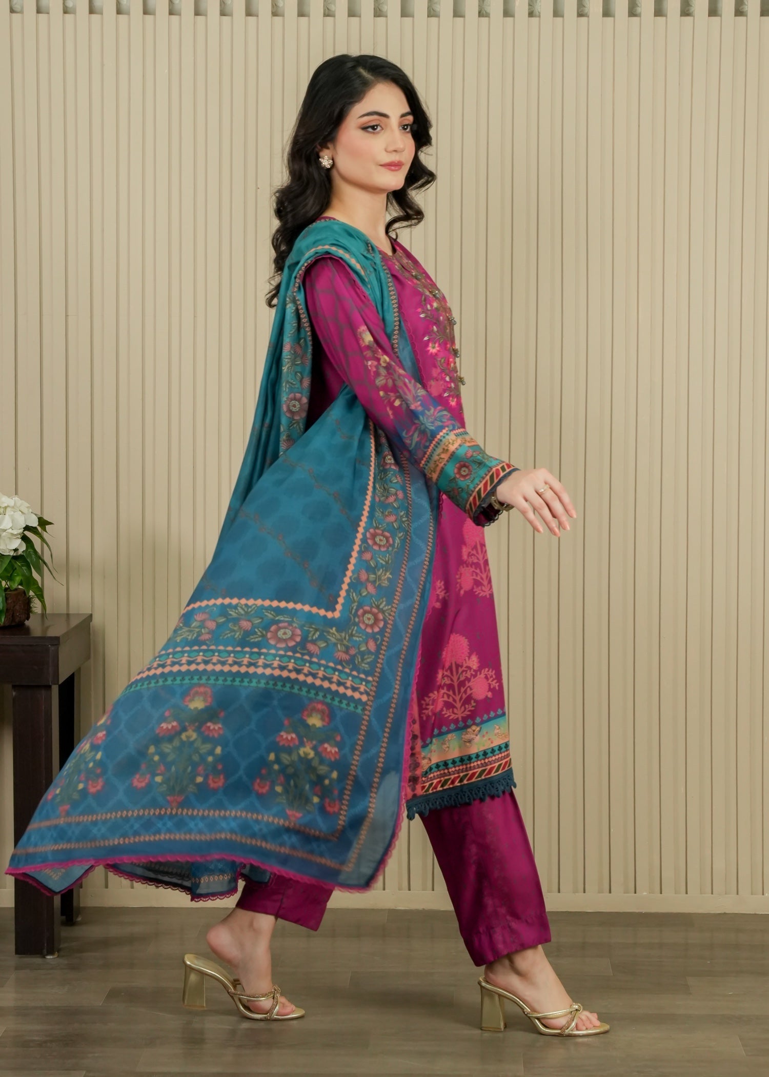 Ayesha B (meena) Women 3pcs