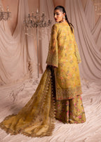 Diara Couture RAISA DF 42 OLIVE Women 4pcs