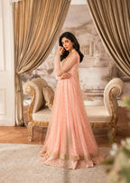 Misl Shanaya Women 3pcs