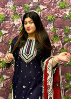 Shefoze Clothing laiba Women 3pcs