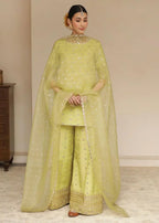 Ezno.Pk Avocado Green Women 3pcs