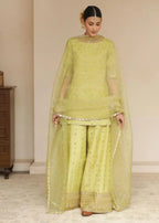 Ezno.Pk Avocado Green Women 3pcs